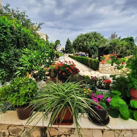 Apartment Ivano *