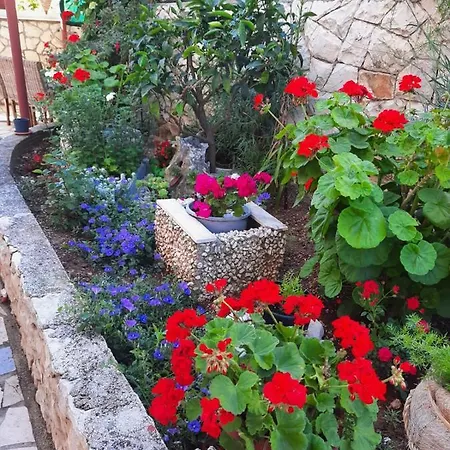 Ivano * Trogir